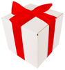 WHITE CARDBOARD BOX - with red ribbon - 20x20x20cm