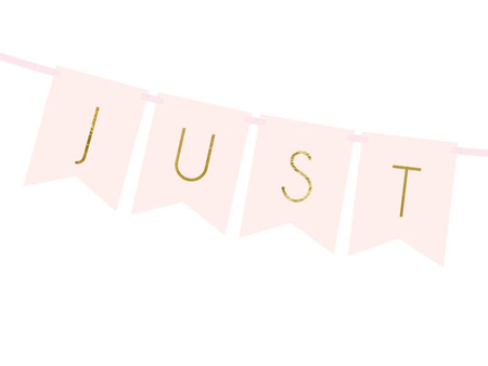 Banner - Just Married - Light Pink - 15 x 155 cm