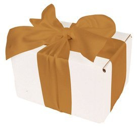 WHITE CARDBOARD BOX - with gold ribbon - 13x10x8cm