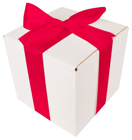 WHITE CARDBOARD BOX - with dark pink ribbon - 20x20x20cm