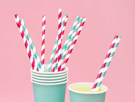 Paper Straws - White and Dark Pink - Slanted Stripes - 19.5 cm - 10 pieces