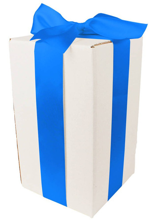 WHITE CARDBOARD BOX - with blue ribbon - 25x15x15cm