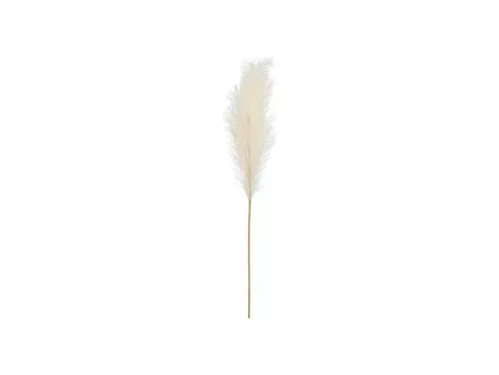 Pampas grass - Light cream - 15x110 cm