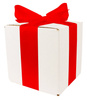 WHITE CARDBOARD BOX - with red ribbon - 15x15x15cm