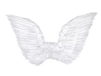 Wings of an angel - white - 75 x 45 cm