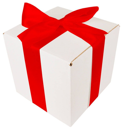 WHITE CARDBOARD BOX - with red ribbon - 20x20x20cm