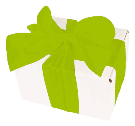 WHITE CARDBOARD BOX - with green ribbon - 13x10x8cm