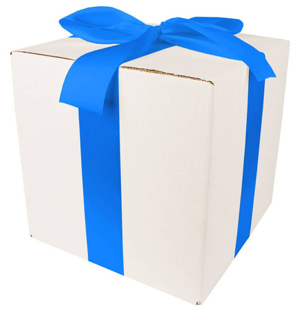 WHITE CARDBOARD BOX - with blue ribbon - 25x25x25cm