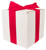 WHITE CARDBOARD BOX - with dark pink ribbon - 20x20x20cm