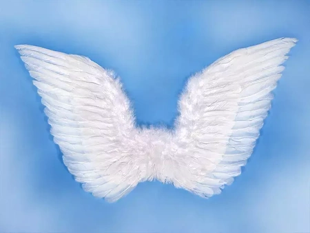 Wings of an angel - white - 75 x 45 cm