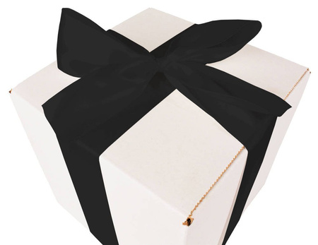 WHITE CARDBOARD BOX - with black ribbon - 20x20x20cm