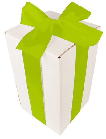 WHITE CARDBOARD BOX - with green ribbon - 25x15x15cm