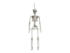 Decoration - Skeleton - 40 cm - 1 pc.