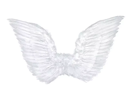 Wings of an angel - white - 75 x 45 cm