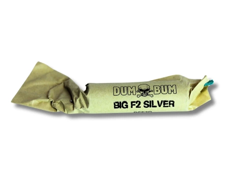 DUMBUM PETARDS BIG F2 SILVER - PSF2D - KLASEK -10 pieces