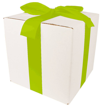 WHITE CARDBOARD BOX - with green ribbon - 25x25x25cm