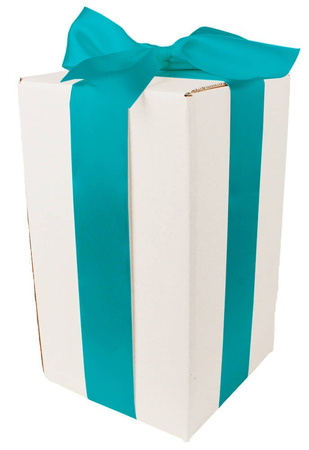 WHITE CARDBOARD BOX - with turquoise ribbon - 25x15x15cm