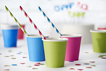 Paper Straws - White and Dark Pink - Slanted Stripes - 19.5 cm - 10 pieces