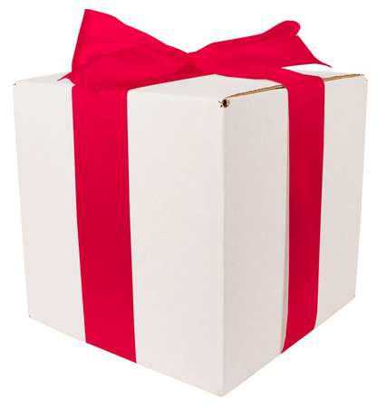 WHITE CARDBOARD BOX - with dark pink ribbon - 20x20x20cm