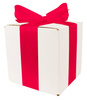 WHITE CARDBOARD BOX - with dark pink ribbon - 15x15x15cm